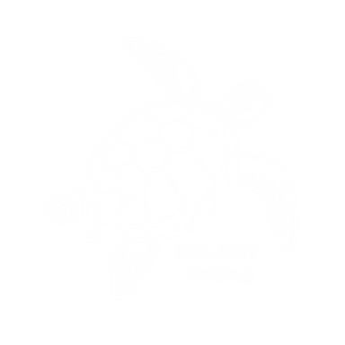 Project Turtle